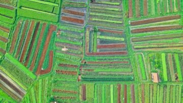 Zakup działki rolnej w 2025 roku – kto może kupić nieruchomość rolną i na jakich zasadach?