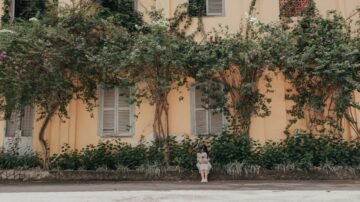 Pnącza zimozielone na siatkę i kwitnące – najpopularniejsze pnącza do ogrodu