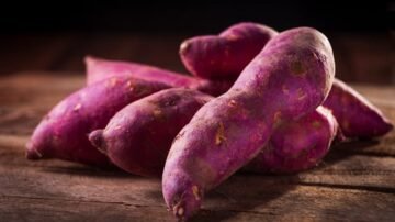 Wilec ziemniaczany – jak uprawiać to ozdobne pnącze?