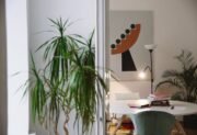 Dracena obrzeżona (Dracaena marginata) – roślina doniczkowa o architektonicznej formie