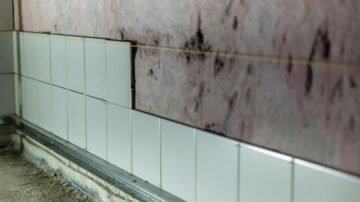 Grzyb i pleśń na ścianie – skąd się biorą i jak je skutecznie usunąć?