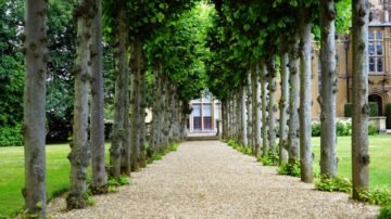 Ozdoby do ogrodu – jak wybrać dekoracje, które odmienią przestrzeń zieloną