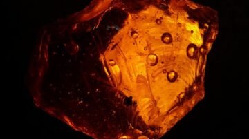 Sposoby na plamy z żywicy – jak je usunąć skutecznie