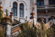 Rośliny na balkon zachodni – jak stworzyć zieloną oazę
