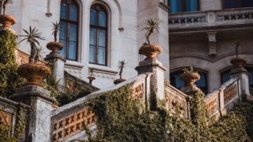 Rośliny na balkon zachodni – jak stworzyć zieloną oazę