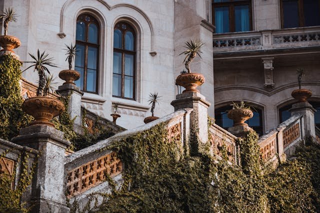 Rośliny na balkon zachodni – jak stworzyć zieloną oazę