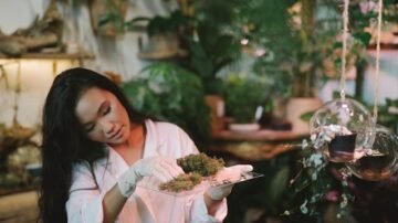 Rośliny kontra chemia. Zielona rewolucja w laboratoriach farmaceutycznych