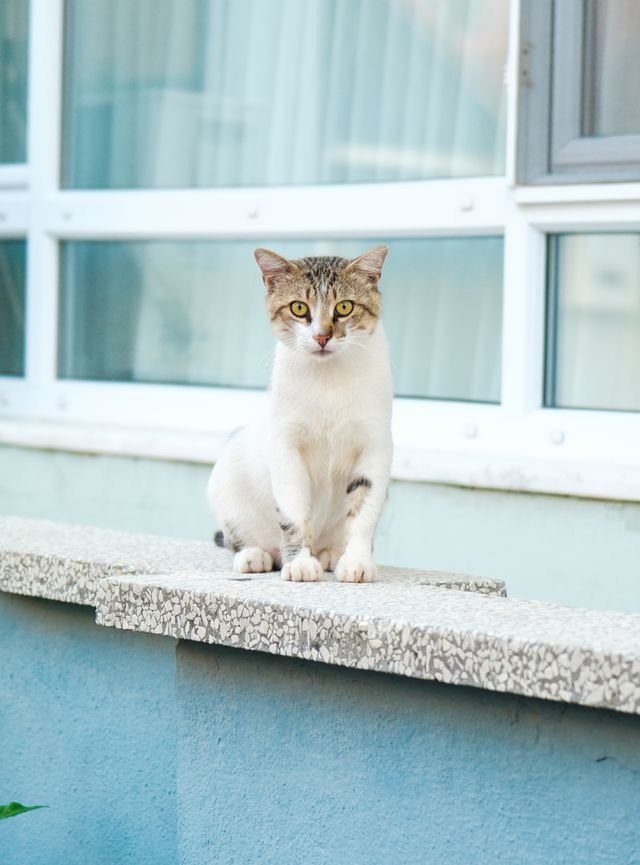 Parapet marmurowy – jaki kolor wybrać i czym wyróżnia się marmur?